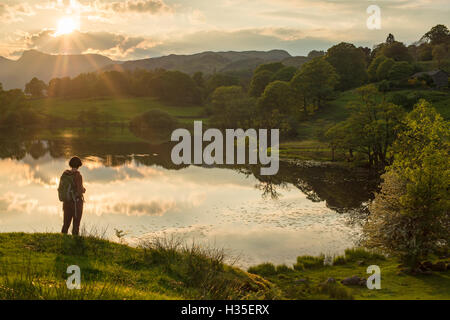 Une femme donne sur Loughrigg Ambleside dans le Tarn près de Parc National de Lake District, Cumbria, England, UK Banque D'Images