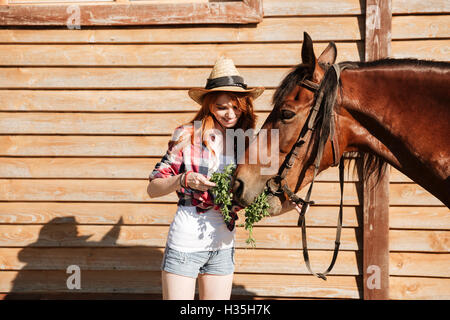 Smiling jolie jeune femme cowgirl donnant l'herbe fraîche ti son cheval Banque D'Images