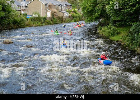 Un groupe de kayakistes en kayak kayaks Pyranha bas courant rapide de la rivière Glaslyn Afon de Snowdonia. Gwynedd au Pays de Galles UK Beddgelert Banque D'Images