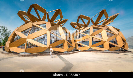 Vue extérieure du pavillon Copagri à l'Expo 2015 à Milan, en Italie par les architectes Miralles Tagliabue EMBT. Banque D'Images