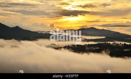 Lever du soleil sur la forêt de diptérocarpacées dans Danum Valley Conservation à Lahad Datu, Sabah, Bornéo, Malaisie. Banque D'Images