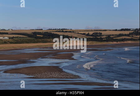 Vue éloignée de la ruine du château rouge et lunan bay angus scotland octobre 2016 Banque D'Images