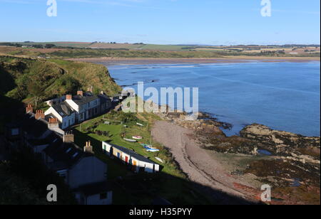 Portrait d'ethie haven lunan bay angus scotland octobre 2016 Banque D'Images