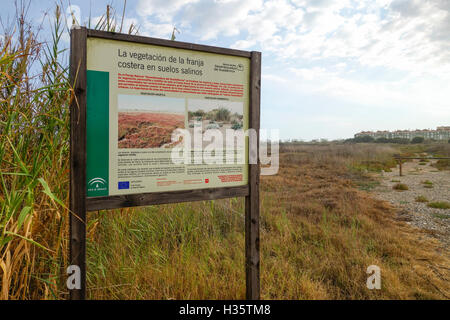 Inscrivez-vous à la végétation halophyte expliquant Parc Naturel Guadalhorce, Malaga, Espagne. Banque D'Images