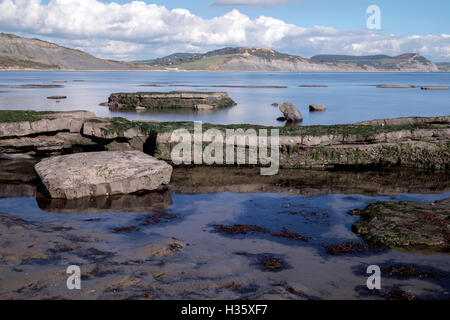 Lyme Regis, sur la côte jurassique, Dorset, England, UK Banque D'Images