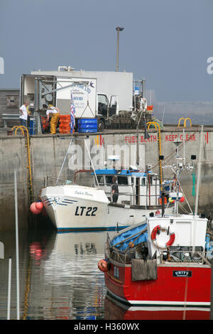 Boîtes de déchargement de poisson d'un bateau de pêche au port de Seahouses Grande-bretagne Angleterre Northumberland Royaume-Uni Banque D'Images