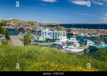 Le village et le littoral à Port de Grave (Terre-Neuve et Labrador, Canada. Banque D'Images