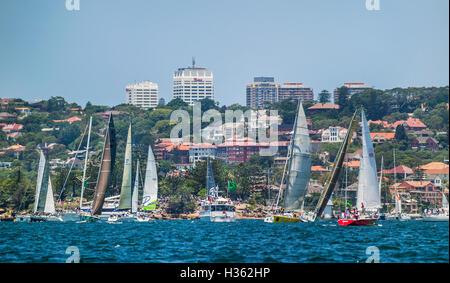 L'Australie, New South Wales, Sydney Harbour, disponibles pour préparer le début de la Classique Bluewater Sydney to Hobart Yacht Race Banque D'Images