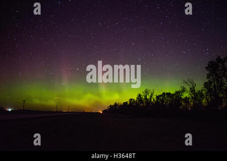 Northern Lights contre l'horizon Banque D'Images