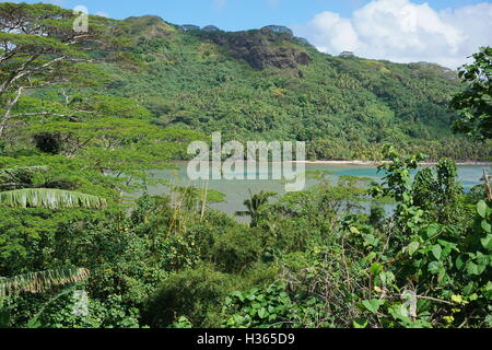La végétation luxuriante et vue sur le lagon d'une île tropicale, Huahine, l'océan Pacifique sud, la Polynésie Française Banque D'Images