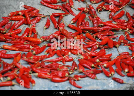 Piment rouge laissé à sécher dans la campagne chinoise. Banque D'Images