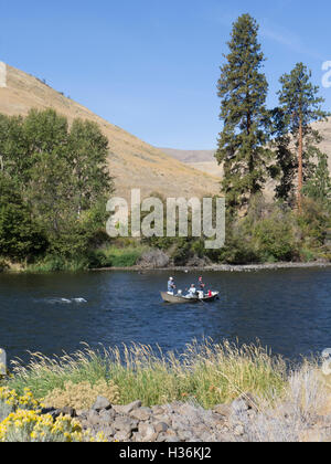 La pêche à la mouche sur la rivière Yakima, dans l'Est de Washington, un ruban bleu ruisseau à truites. Banque D'Images