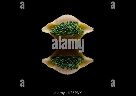 Le brocoli vert intégré au shell sur une réflexion de pâtes noir backround Banque D'Images