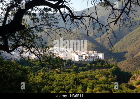 Le village blanc d'Istan, cachés dans des montagnes de la Sierra de las Nieves, Andalousie, Espagne Banque D'Images