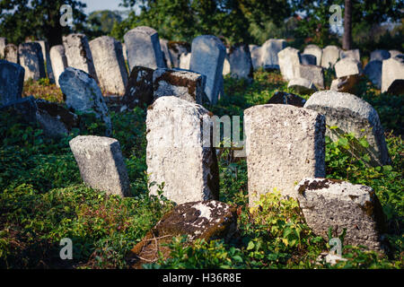 Vieux cimetière juif, Pologne Banque D'Images