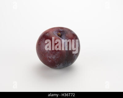 Plum isolé sur fond blanc Banque D'Images