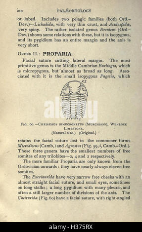 Ce texte d’introduction à la paléontologie couvre les concepts fondamentaux du domaine, y compris l’étude des fossiles, des formes de vie disparues et l’histoire des organismes terrestres. Il sert de guide pédagogique pour comprendre les bases scientifiques du travail paléontologique. Banque D'Images