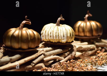 Pièce maîtresse de l'automne rustique avec des citrouilles Banque D'Images