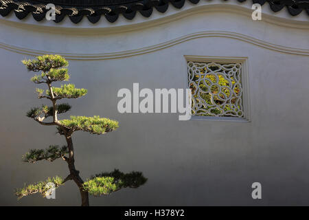 Le mur de nuages colorés au jardin de parfum qui coule à Huntington Library et le Jardin Botanique.San Marino, Californie, Banque D'Images