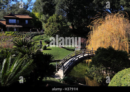 Pont de la lune en jardin Japonais à Huntington Library art collection et le Jardin Botanique,San Marino, Californie,USA Banque D'Images