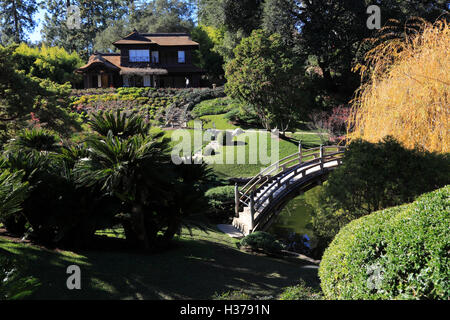 Pont de la lune en jardin Japonais à Huntington Library art collection et le Jardin Botanique,San Marino, Californie,USA Banque D'Images