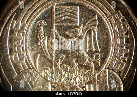 Une pièce d'une livre britannique 2011 célébrant la ville de Cardiff Banque D'Images