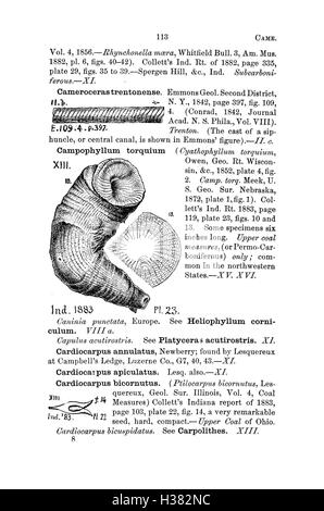 Ce dictionnaire fournit une liste complète des espèces fossiles trouvées en Pennsylvanie et dans les régions avoisinantes, avec des descriptions basées sur des études géologiques et des rapports de catalogue. Banque D'Images