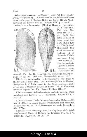 Ce dictionnaire fournit des informations détaillées sur les fossiles trouvés en Pennsylvanie et dans les états voisins, y compris des descriptions, des classifications et des références provenant de relevés géologiques. Banque D'Images