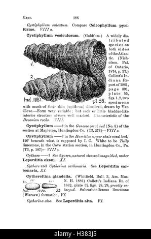 Ce dictionnaire fournit une liste exhaustive des fossiles découverts en Pennsylvanie et dans les régions avoisinantes, y compris des descriptions détaillées et des classifications des espèces trouvées dans les rapports. Banque D'Images