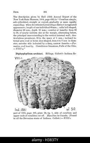 Ce dictionnaire compile les espèces fossiles trouvées en Pennsylvanie et dans les états voisins, fournissant une référence à leurs noms scientifiques et à leur classification basée sur des rapports d'enquête et des catalogues. Banque D'Images