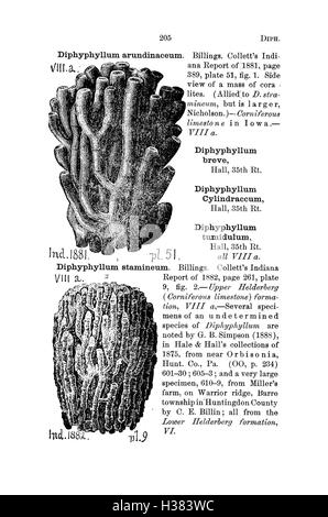 Ce dictionnaire fournit des descriptions détaillées et des classifications des fossiles trouvés en Pennsylvanie et dans les régions avoisinantes, basées sur des études géologiques et des catalogues. Banque D'Images