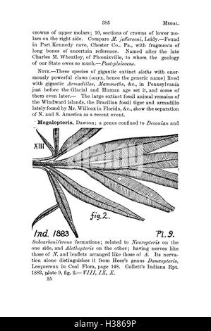 Ce dictionnaire fournit des informations détaillées sur les fossiles trouvés en Pennsylvanie et dans les régions avoisinantes, énumérant les espèces identifiées dans les études géologiques. Banque D'Images