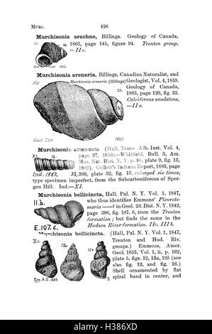 Ce dictionnaire répertorie les fossiles trouvés en Pennsylvanie et dans les états voisins, cataloguant les espèces identifiées dans les rapports d'enquête. Il fournit des informations détaillées sur la découverte et la classification des fossiles dans la région. Banque D'Images