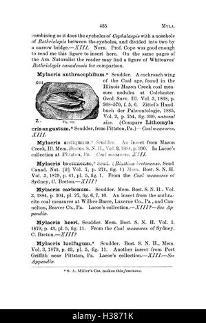 Ce dictionnaire fournit une longue liste de fossiles trouvés en Pennsylvanie et dans les états voisins, y compris les noms des espèces, les classifications et les descriptions. Il est une ressource clé pour les paléontologues et les passionnés de fossiles. Banque D'Images