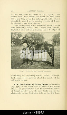 Ce travail fournit un guide complet des points anatomiques du cheval. La page 562 traite des principales caractéristiques anatomiques et de leur importance dans les soins, l'entraînement et l'évaluation du rendement des chevaux, essentiels pour les équestres et les vétérinaires. Banque D'Images