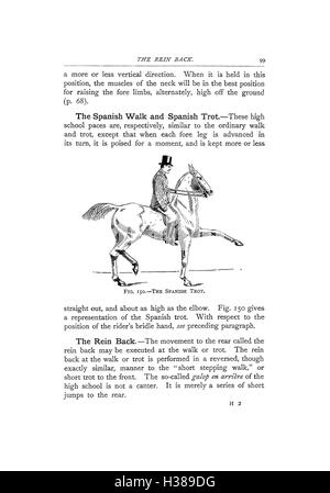 Ce travail traite des caractéristiques anatomiques clés du cheval, en se concentrant sur les caractéristiques physiques qui distinguent les races de chevaux et leurs utilisations. La page 99 fournit une description détaillée de ces points pour l'étude et la classification équines. Banque D'Images
