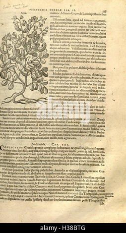 Le travail botanique complet de Rembert Dodoens couvrant l’histoire des plantes, avec des descriptions détaillées et des classifications de diverses espèces végétales. Banque D'Images