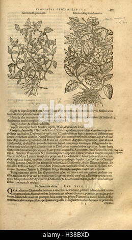 Ce travail est un traité botanique complet de Rembert Dodoens, détaillant l'histoire et les propriétés médicinales de diverses plantes dans six volumes. Banque D'Images