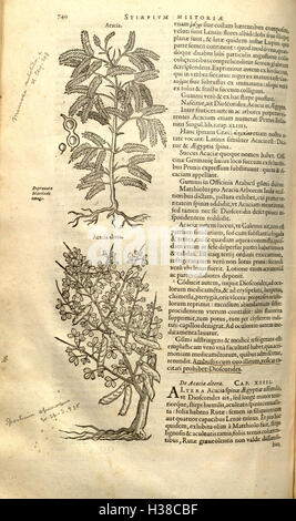 Le travail botanique complet de Rembert Dodoens présente une étude systématique des espèces végétales, en se concentrant sur leur signification médicinale, nutritionnelle et écologique. Banque D'Images