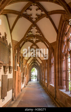 Cloître de la Cathédrale, Münsterplatz, Bâle, Suisse Banque D'Images