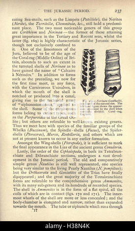 Ce travail explore l'histoire géologique et biologique de la Terre, retraçant son développement depuis les premières formes de vie jusqu'à nos jours. Il donne un aperçu des événements majeurs qui ont façonné l'histoire de la Terre, y compris l'évolution de la vie. Banque D'Images
