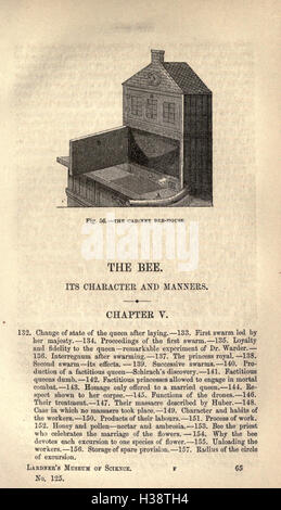 L'abeille et de fourmis blanches, leurs manières et habitudes (page 65) BHL232 Banque D'Images