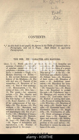 L'abeille et de fourmis blanches, leurs manières et habitudes BHL232 Banque D'Images