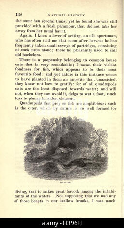 Cette œuvre classique de Gilbert White détaille l’histoire naturelle, la flore et la faune de Selborne, offrant de précieuses observations sur la faune, les plantes locales et la composition écologique de la région au XVIIIe siècle. Banque D'Images