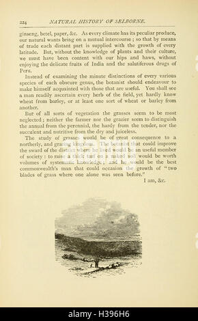 Ce livre de Gilbert White donne un aperçu de l'histoire naturelle et des antiquités de Selborne, en se concentrant sur la flore locale, la faune et les observations historiques de la région. Banque D'Images
