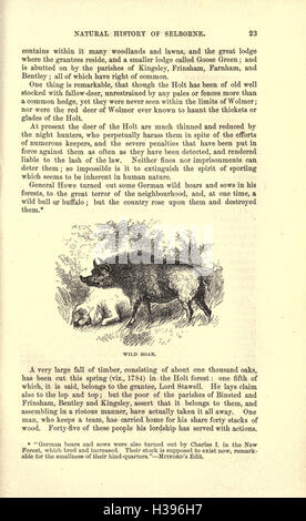 Cette page de 'histoire naturelle et antiquités de Selborne' présente des observations sur l'environnement naturel, la faune et les artefacts historiques trouvés dans la région de Selborne. Banque D'Images