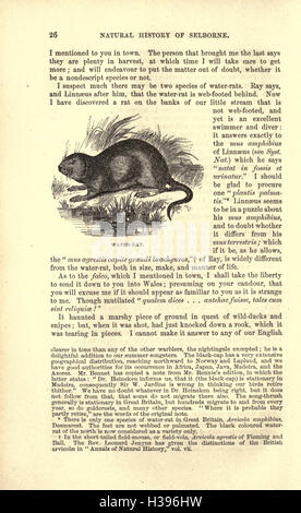 Une étude de l'histoire naturelle et des antiquités de Selborne, axée sur la faune locale et les observations historiques. Banque D'Images