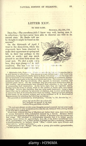 Cette œuvre classique de Gilbert White propose une exploration approfondie de l’histoire naturelle de Selborne, en mettant l’accent sur sa flore, sa faune et ses antiquités locales. C’est un texte clé dans l’étude de l’histoire naturelle et des observations écologiques au XVIIIe siècle. Banque D'Images
