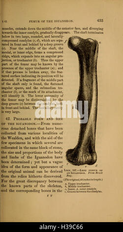 Ce travail présente une explication accessible des phénomènes géologiques, y compris la formation rocheuse, les tremblements de terre et l'activité volcanique, visant à éduquer le grand public sur les sciences de la terre. Banque D'Images