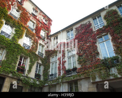 Couleurs d'automne d'une cour à Paris Banque D'Images